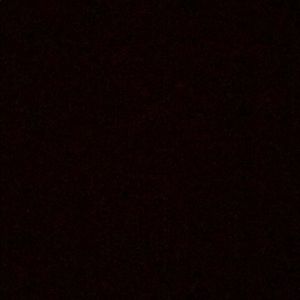 Meet your Posher, Daisy